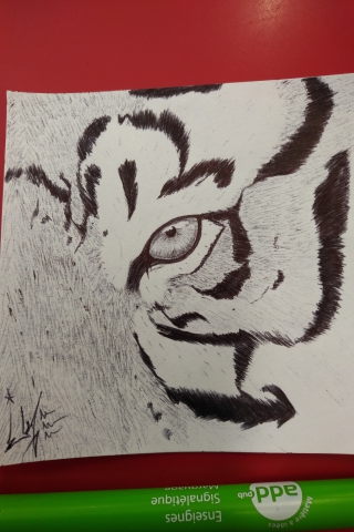 Oeil de tigre Dessin réalisé au stylo à bille